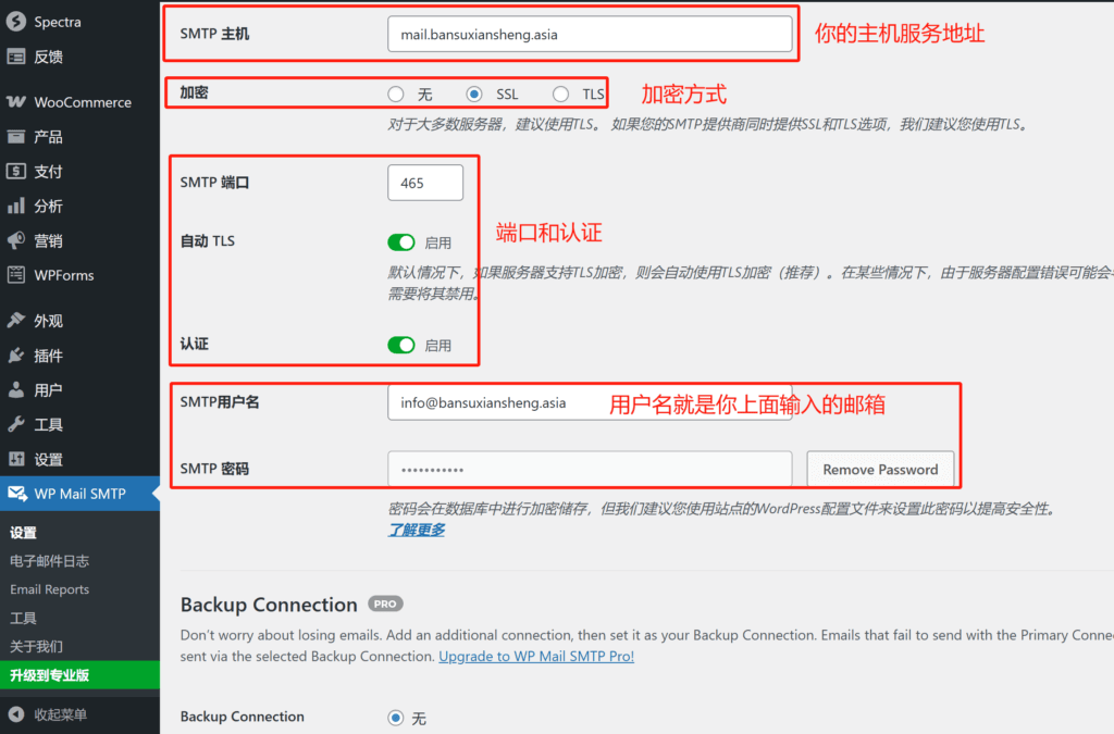 WordPress邮件SMTP设置 1740137454010
