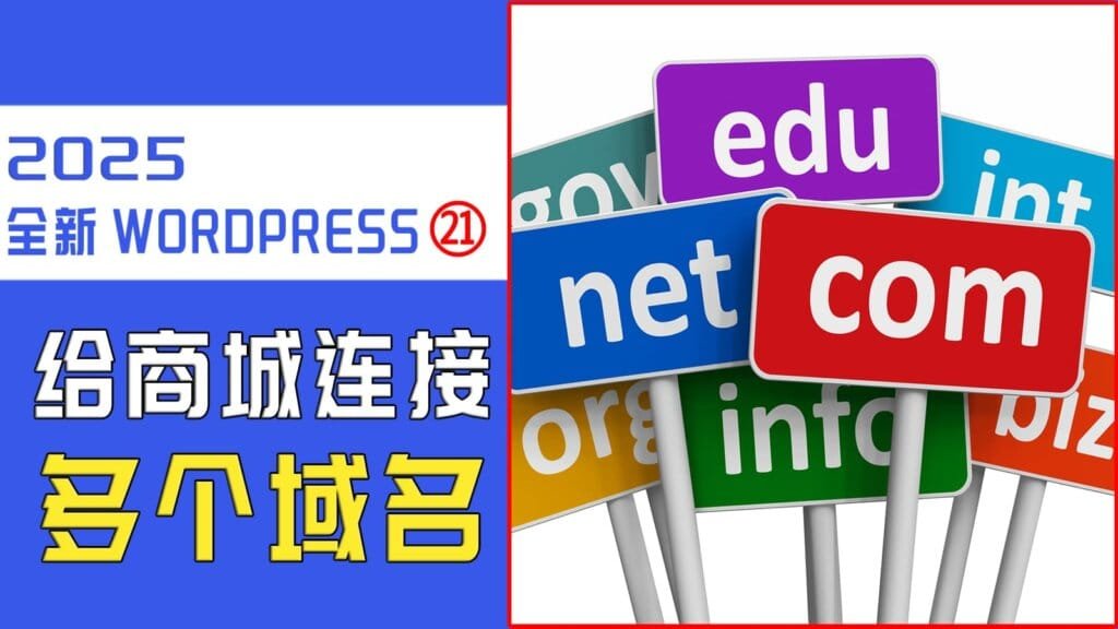 如何像Shopify一样,给WordPress商城添加多个域名访问 9 如何像Shopify一样,给WordPress商城添加多个域名访问 8