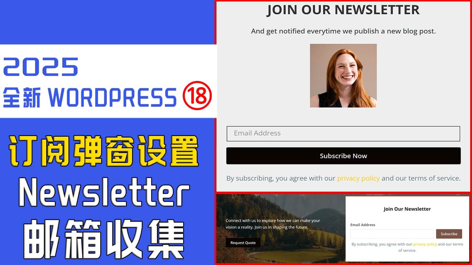 WordPress商城的Subscribe弹窗订阅和Newsletter收集邮箱设置
