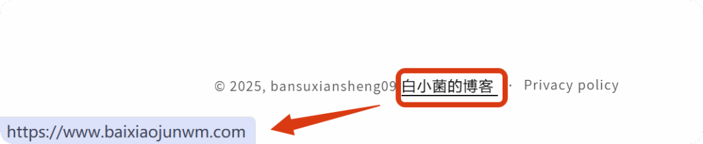 局部截取_20250523_114028 如何从你的Shopify店铺移除“Powered by Shopify”文字和链接等内容 13