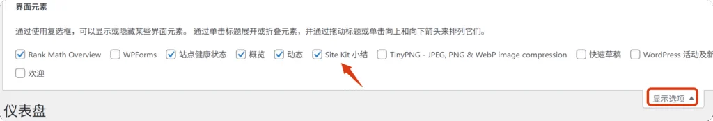显示选项菜单 WordPress 后台的显示选项菜单,勾选 Site Kit 以显示相关数据。