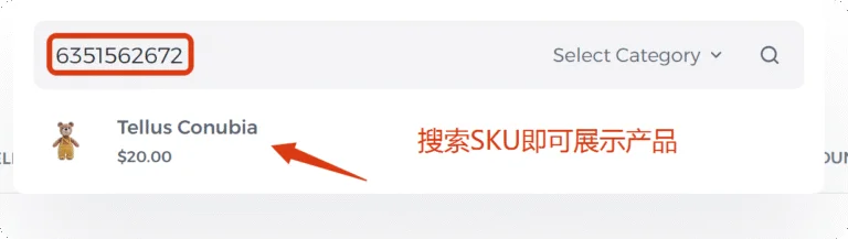 如何通过SKU搜索独立站商城的产品 3