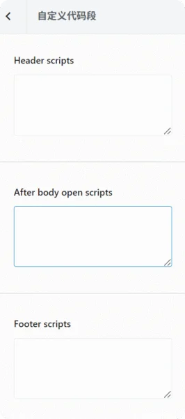如何在 WordPress 中使用 Blocksy 自定义代码段 13