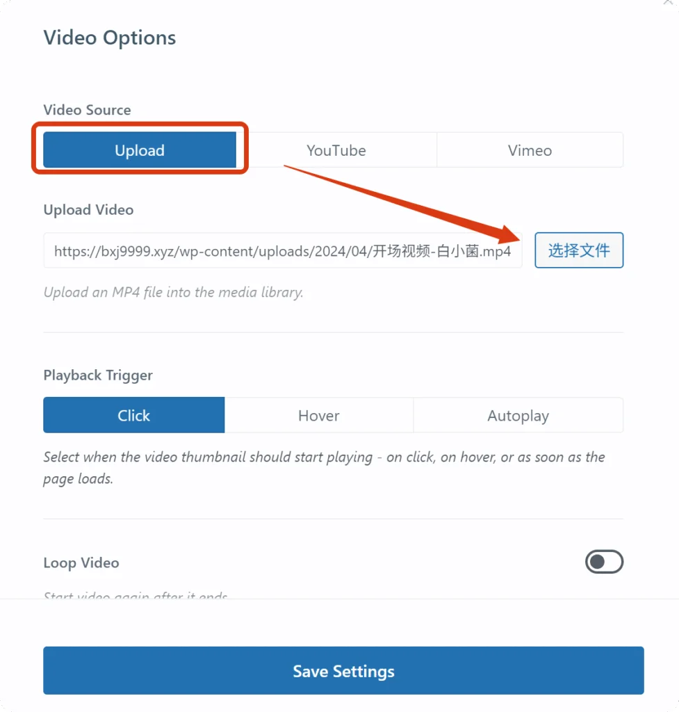 视频参数设置 Blocksy Pro的Video Options窗口,支持本地上传或嵌入Youtube/Vimeo视频,并配置Playback Trigger播放方式