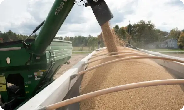 中国中粮集团买了三批美国大豆，总量约18万吨