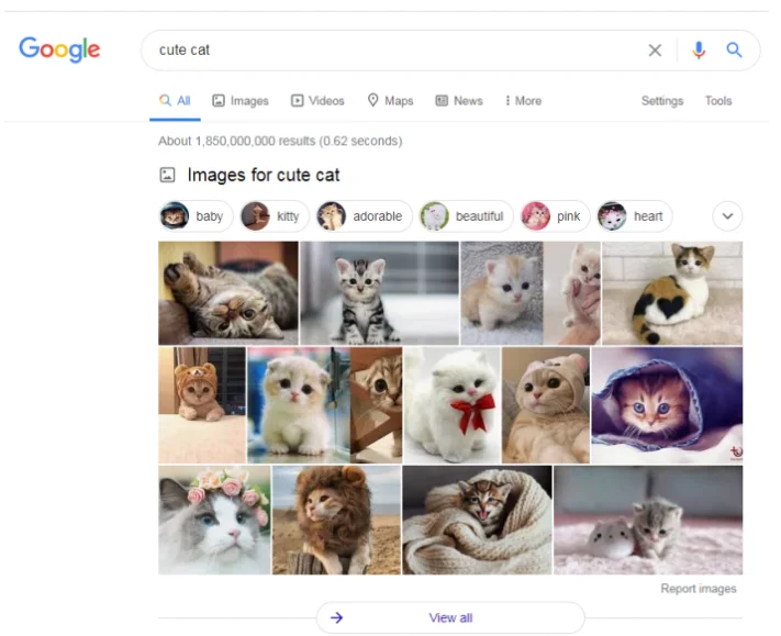 image Google排名的SERP分析,关键词分析 21