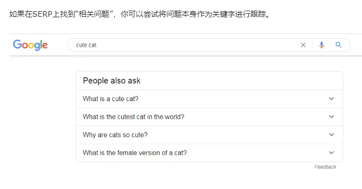 image Google排名的SERP分析,关键词分析 23